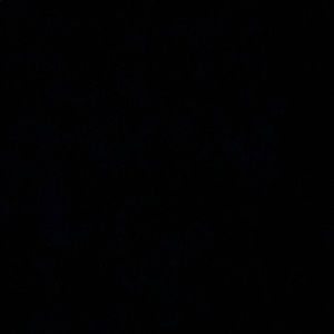 Meet your Posher, Jaylee